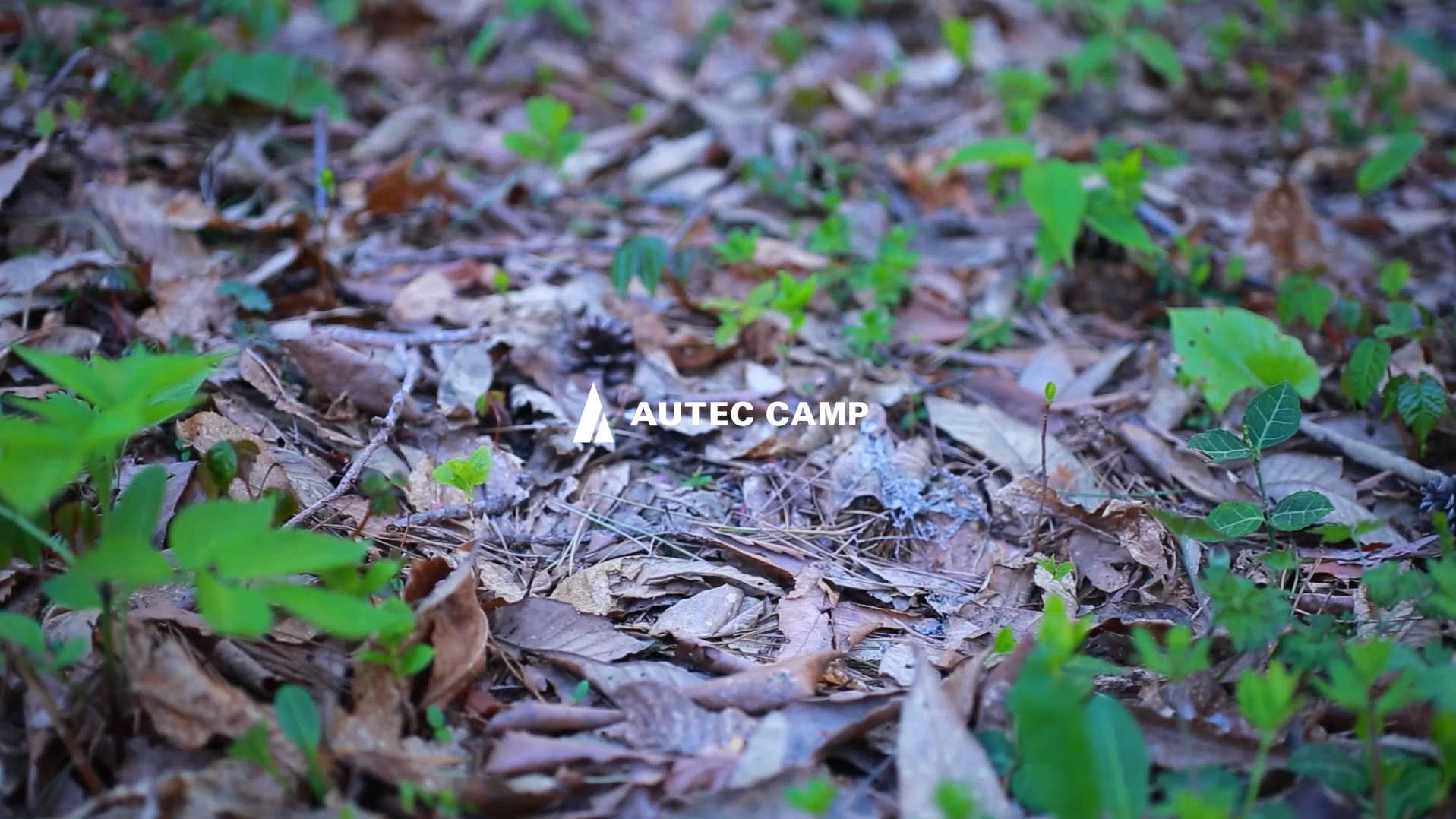 AUTEC CAMP　なにを選び、どう生きる。ソロキャンプ編